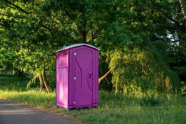 Portable Toilet Options We Offer in Ames Lake, WA